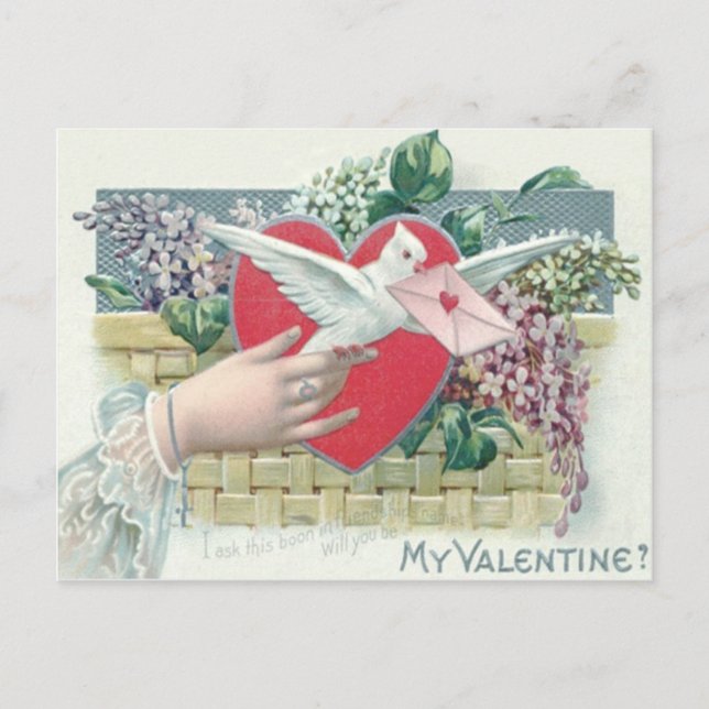 Cartes Pour Fêtes Annuelles Dove Heart Oublie-Moi Pas Valentine (Devant)