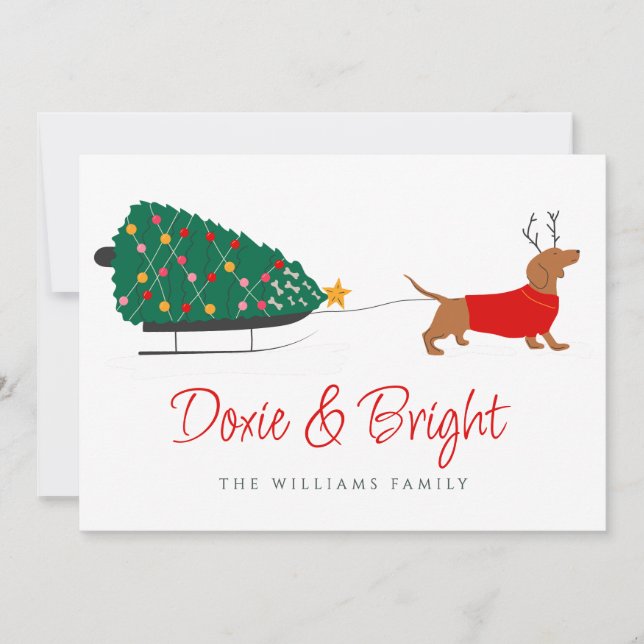Cartes Pour Fêtes Annuelles Doxie Merry & Bright Dachshund Noël (Devant)