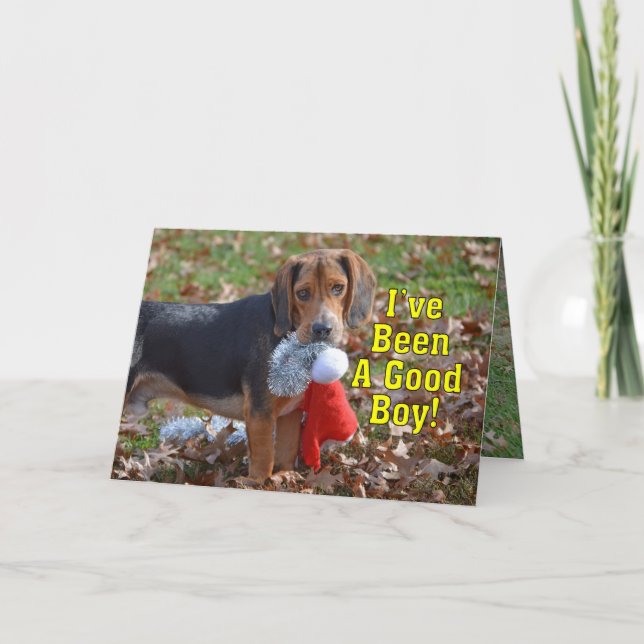 Cartes Pour Fêtes Annuelles Drôle Beagle J'ai été un bon garçon Noël (Devant)
