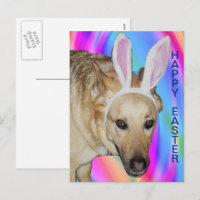 Drôle Berger Allemand Chien & Oreilles Lapin Pâque