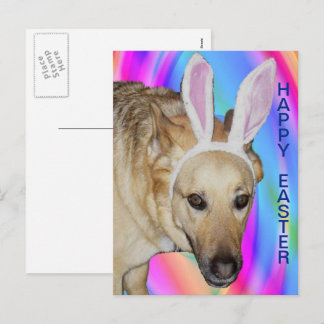 Cartes Pour Fêtes Annuelles Drôle Berger Allemand Chien & Oreilles Lapin Pâque
