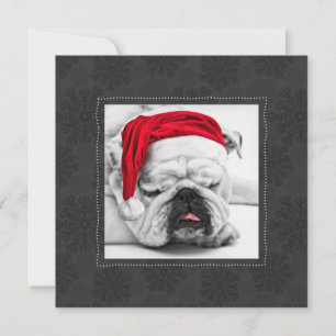 Cartes Pour Fêtes Annuelles Drôle Bulldog dans un chapeau de Père Noël avec de
