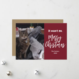 Cartes Pour Fêtes Annuelles Drôle Ce N'était Pas Moi Photo Noël