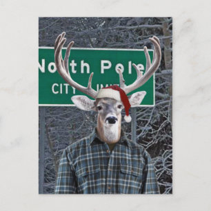 Cartes Pour Fêtes Annuelles Drôle cerf portant le chapeau du Père Noël au pôle
