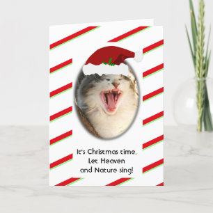 Cartes Pour Fêtes Annuelles Drôle Chant Humour Chat Noël