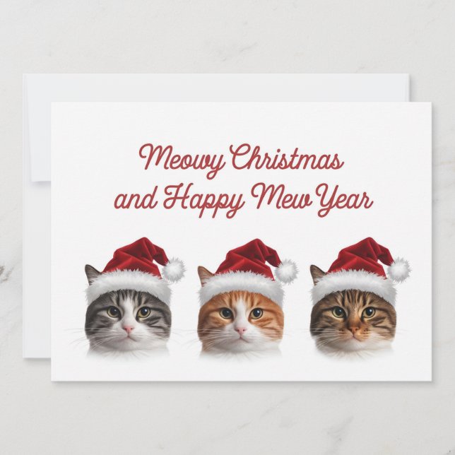 Cartes Pour Fêtes Annuelles Drôle chat mâle de noël en casquette de noël (Devant)