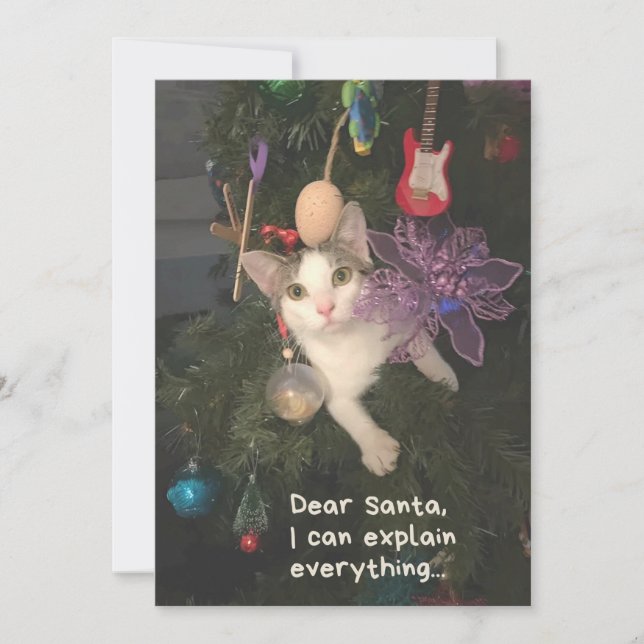 Cartes Pour Fêtes Annuelles Drôle Chat Père Noël Je Peux Expliquer Tout Noël (Devant)