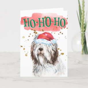 Cartes Pour Fêtes Annuelles Drôle chien anglais berchien Santa chapeau yappy h