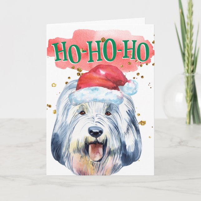 Cartes Pour Fêtes Annuelles Drôle chien anglais berchien Santa chapeau yappy h (Devant)