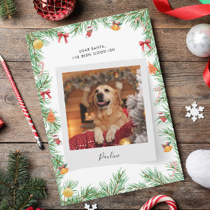 Cartes Pour Fêtes Annuelles Drôle chien animal de compagnie photo Nice Liste p