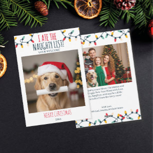Cartes Pour Fêtes Annuelles Drôle Chien Naughty List Custom Christmas Photo