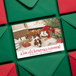 Cartes Pour Fêtes Annuelles Drôle Chien photo de Noël Personnalisé Animaux de
