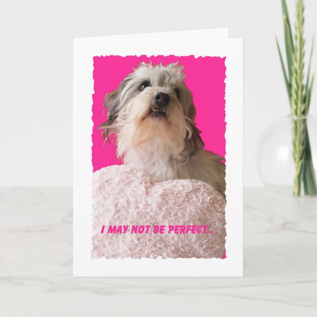 Cartes Pour Fêtes Annuelles Drôle Chien Valentine — Tous vos Valentin (Devant)