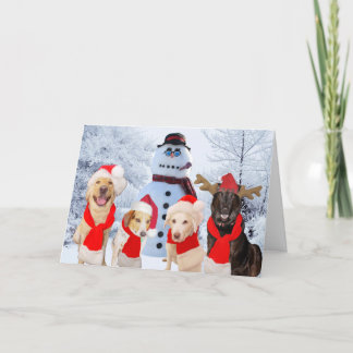 Cartes Pour Fêtes Annuelles Drôle Chiens Bonnes Fêtes