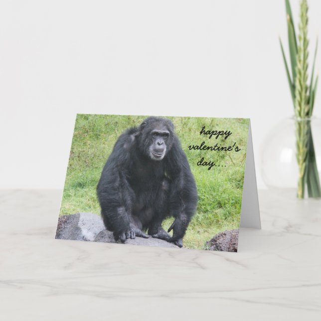 Cartes Pour Fêtes Annuelles Drôle Chimpanzé Valentine, tu veux un singe autour (Devant)
