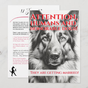 Cartes Pour Fêtes Annuelles Drôle de Berger Allemand hôte de mariage noir