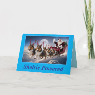 Cartes Pour Fêtes Annuelles Drôle de Sheltie Noël Fêtes