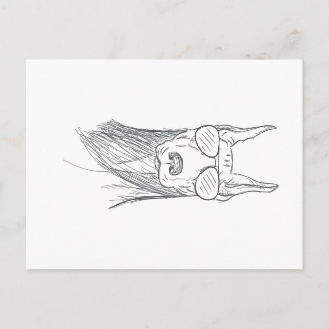 Cartes Pour Fêtes Annuelles Drôle Doberman Chien avec lunettes de soleil (Devant)