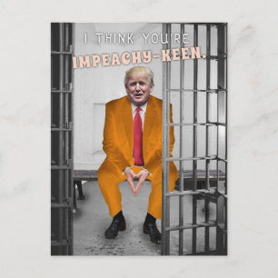 Cartes Pour Fêtes Annuelles Drôle Donald Trump dans l'Humour de la prison