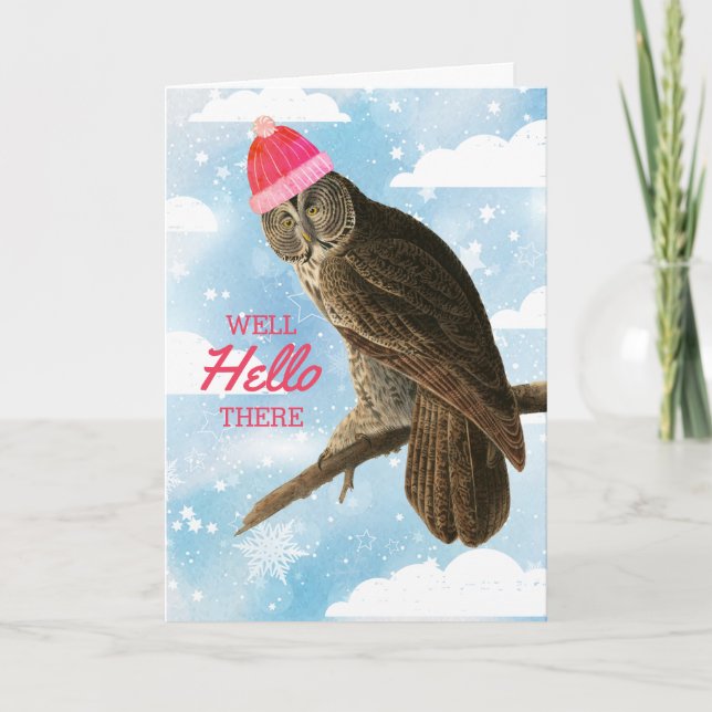 Cartes Pour Fêtes Annuelles Drôle hibou tricot crochet fait main Noël (Devant)