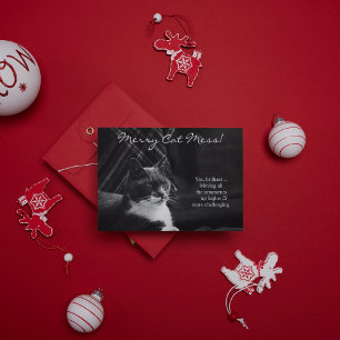 Cartes Pour Fêtes Annuelles Drôle Joyeux Chat Désordre Noël