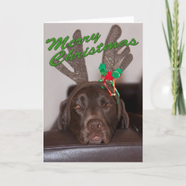 Cartes Pour Fêtes Annuelles Drôle Labrador Parties scintillant Antlers Texte p