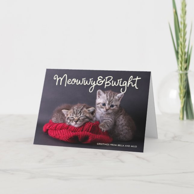 Cartes Pour Fêtes Annuelles Drôle Meowwwy et Vacances de Bwight | Salutation p (Devant)
