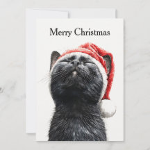 Drôle Mignon Bande Dessinée Fantaisiste Chat Joyeu
