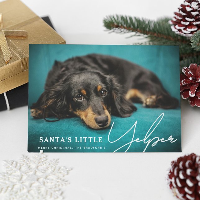 Cartes Pour Fêtes Annuelles Drôle mignon Père Noël Petit Yelper' Chien Photo (Créateur téléchargé)