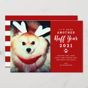 Cartes Pour Fêtes Annuelles Drôle Noël 2021 Red Ruff Year Chien photo