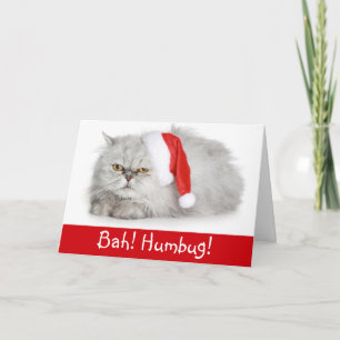 Cartes Pour Fêtes Annuelles Drôle Noël Bah Humbug Chat