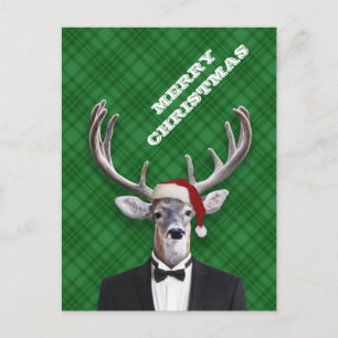 Cartes Pour Fêtes Annuelles Drôle Noël Chapeau Noël Cerf Vert Plaid
