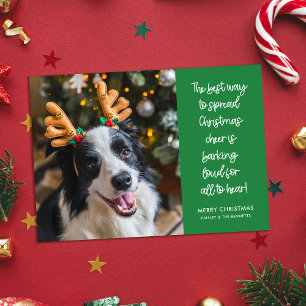 Cartes Pour Fêtes Annuelles Drôle Noël Cheer Chien Photo