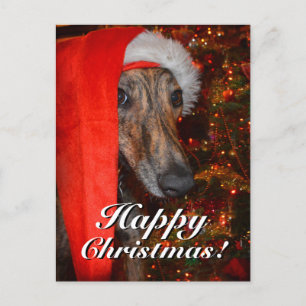 Cartes Pour Fêtes Annuelles Drôle Noël Père Noël Greyhound Lurcher