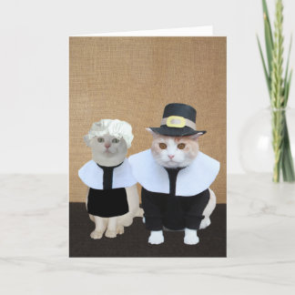 Cartes Pour Fêtes Annuelles Drôle Pèlerin Chats Thanksgiving Card