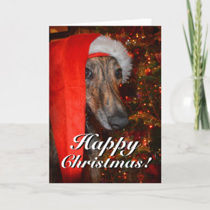 Cartes Pour Fêtes Annuelles Drôle Père Noël Chien Lurcher Greyhound Noël