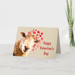 Cartes Pour Fêtes Annuelles Drôle toi et moi, Saint Valentin Animal