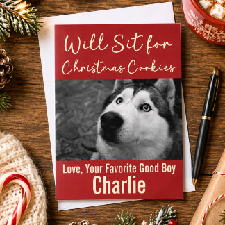 Cartes Pour Fêtes Annuelles Drôles de biscuits de Noël pour chien Humour Photo