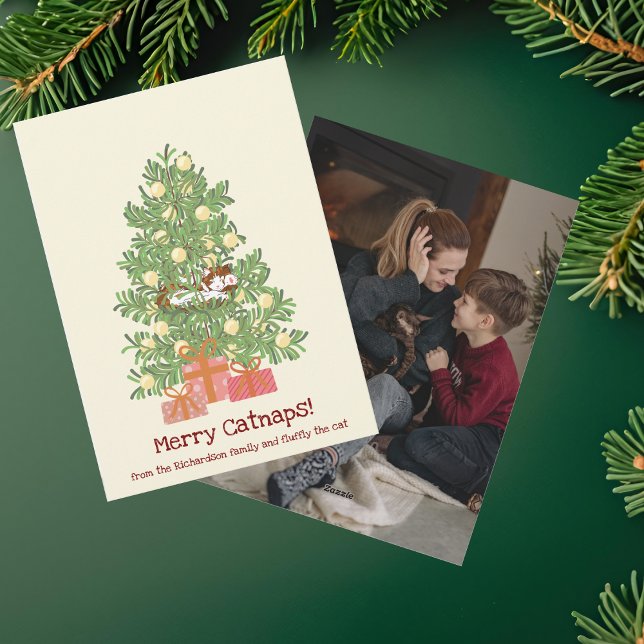 Cartes Pour Fêtes Annuelles Drôles de siestes de chats ! Chat sur l'arbre de N (Créateur téléchargé)