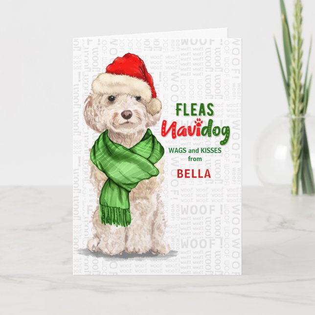 Cartes Pour Fêtes Annuelles du chien Champagne Cockapoo Fleas Navidog Hol (Devant)