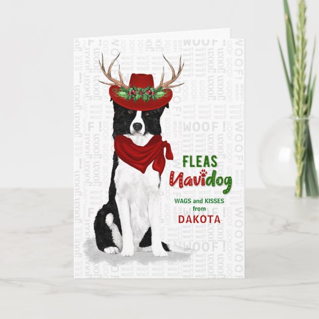 Cartes Pour Fêtes Annuelles du chien de la frontière occidentale Collie Noël (Devant)