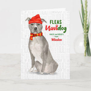 Cartes Pour Fêtes Annuelles Du Dog Grey American Staffordshire Pitbull