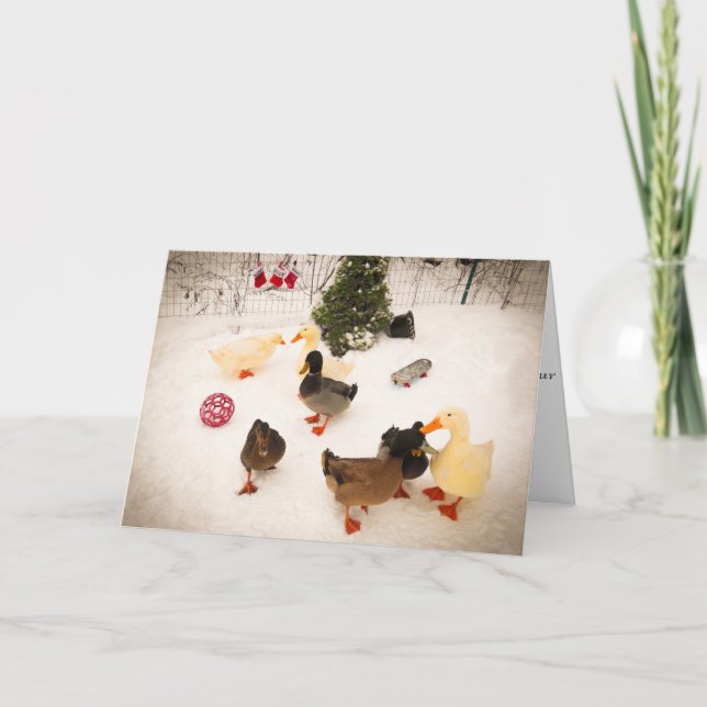Cartes Pour Fêtes Annuelles Duck Christmas Party Christmas Card (Devant)