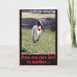 Cartes Pour Fêtes Annuelles D'un oiseau rare