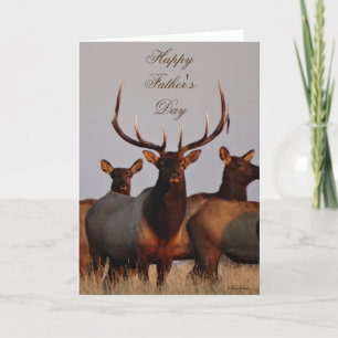 Cartes Pour Fêtes Annuelles E66 Élan mâle et femelles