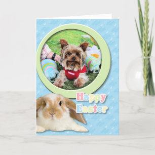 Cartes Pour Fêtes Annuelles Easter
