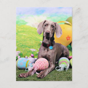 Cartes Pour Fêtes Annuelles Easter