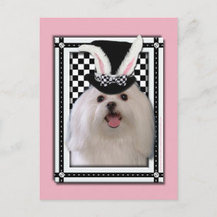 Cartes Pour Fêtes Annuelles Easter