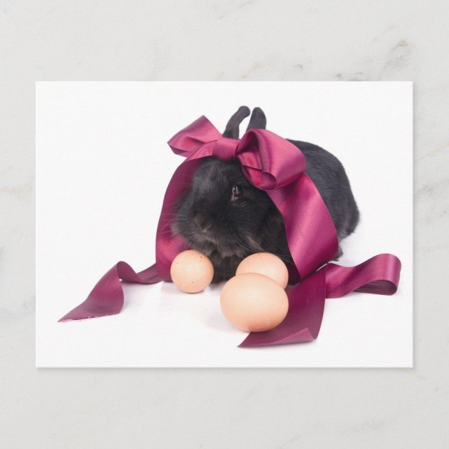 Cartes Pour Fêtes Annuelles Easter Bunny (Devant)