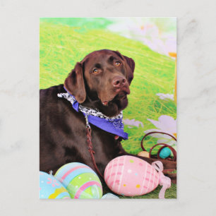 Cartes Pour Fêtes Annuelles Easter - Chocolate Labrador - Hershey
